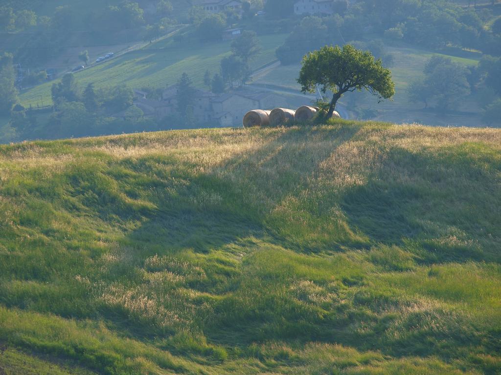 Готель Parco Matildico Di Montalto Cadelbosco di Sopra Екстер'єр фото